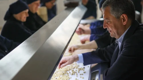 Özgür Özel, Ordu'da fındık fabrikasını ziyaret edip işçilerle fındık ayıkladı