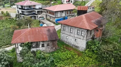 Arhavi'de Kestane Ağaçlarıyla Göz Dolma Tekniğiyle İnşa Edilen Eşsiz Evler