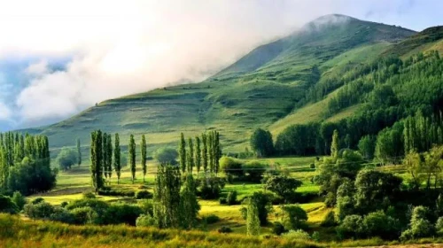 Rize'nin Yeşil Yaylaları ve Çay Ovası: Doğa ve Turizm Cenneti