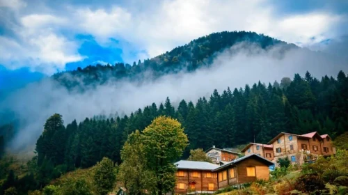 Rize’nin En Büyülü Yaylaları: Ayder, Pokut ve Gito’da Bulutların Üstünde Masalsı Yolculuk!