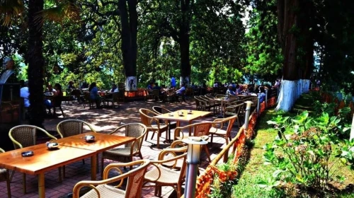 Rize Ziraat Çay Bahçesi