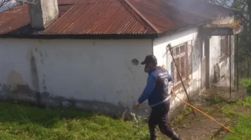 Trabzon'da kahverengi kokarca için kışlak mücadele çalışmaları sürüyor