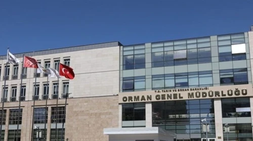 Rizelilere Müjde: Orman Genel Müdürlüğü 496 Personel Alacak