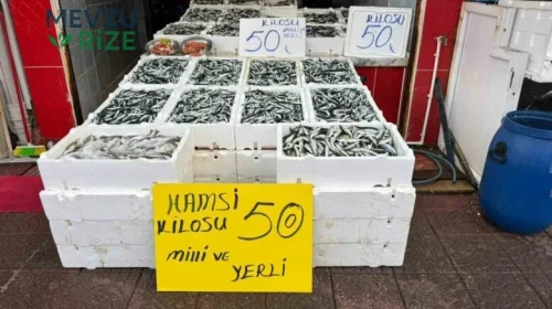 Rize'de Hamsi Fiyatları 50 TL ile Sofralarda Bolluk Yarattı