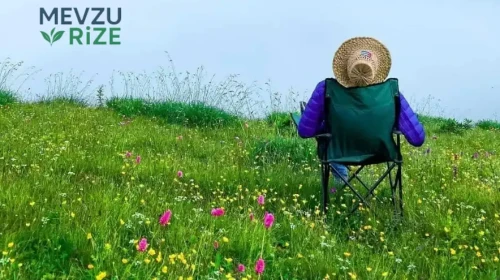 Rize Yaylaları 2026: Görülmesi Gereken En Güzel 15 Yayla Rehberi