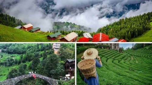 Rize: Doğa Tutkunları İçin Cennetten Bir Köşe!