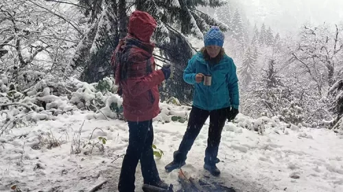 Rize'de Kar Yağışı: Anzer ve Ayder Yaylaları Beyaz Örtüyle Kaplanıyor!