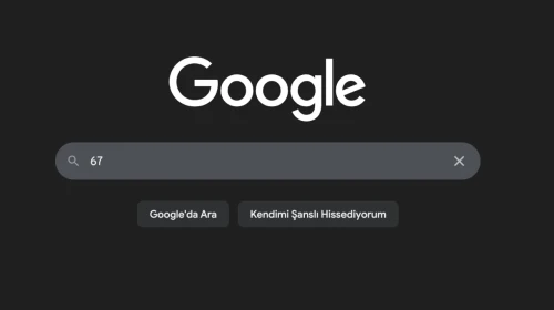 Merak Ediliyor | Google 67 yazınca neden sallanıyor?