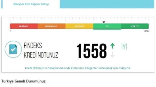 Findeks ücretsiz kredi notu nasıl alınır? Bedava Findeks raporu nasıl alınır?