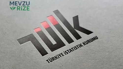 TÜİK Nedir? Amacı Nedir? Ne İşe Yarar?