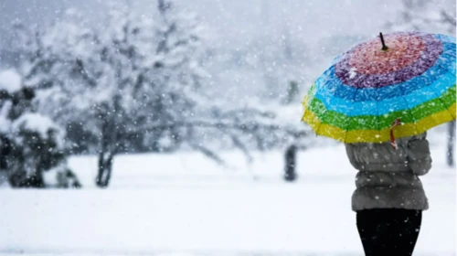 Rize Valiliği'nden kuvvetli yağış uyarısı: Cuma günü dikkatli olun!