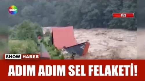 Sel önüne çıkanı sürükledi!