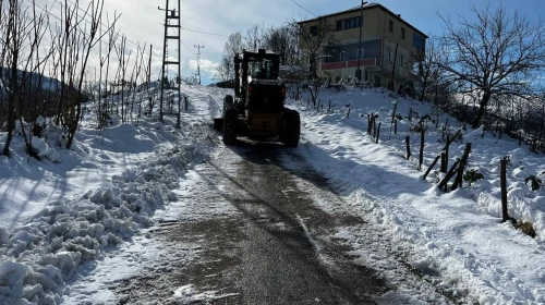 Beşikdüzü Belediyesi’nden Karla Mücadele ve Parke Çalışmaları