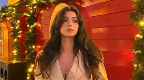 Abi Dizisi Gülsüm Kimdir? Bilgileri Yaşı Okulu