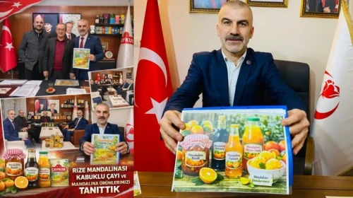 Rize mandalinası için katma değer projesi hazırlandı, ÇAYKUR'dan destek sözü alındı