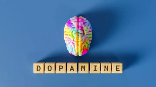 Dopamin nedir? Dopamin detoksu nedir?