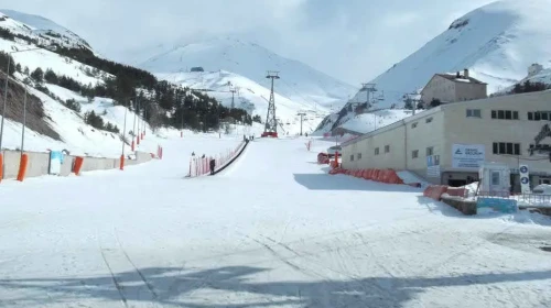 0442 Nerenin Alan Kodu?