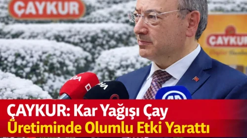 ÇAYKUR: Kar Yağışı Çay Üretiminde Olumlu Etki Yarattı