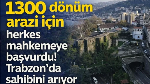 1300 dönüm arazi için herkes mahkemeye başvurdu! Trabzon'da sahibini arıyor