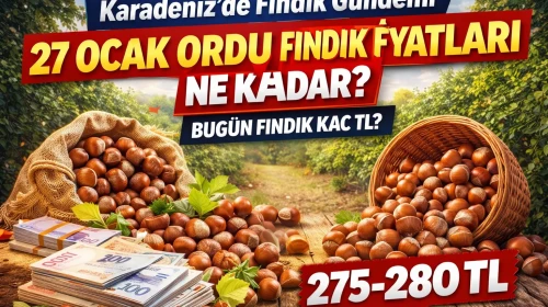 27 Ocak Ordu Fındık Fiyatları Ne Kadar? Bugün Fındık Kaç TL?