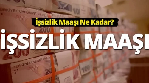İşsizlik Maaşı Alma Şartları: Son 120 Gün Kuralı ve Ödenek Miktarı Tablosu