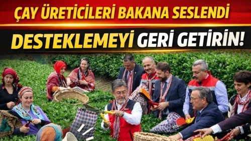 ÇAY ÜRETİCİLERİ BAKANA SESLENDİ. DESTEKLEMEYİ GERİ GETİRİN