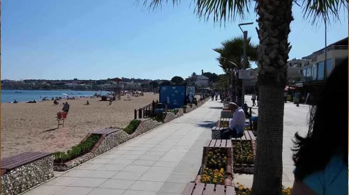 09 Nerenin Plakası - 09 Plaka