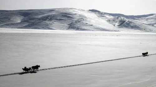 0478 Nerenin Alan Kodu?