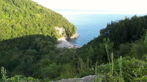 Çamaltı Köyü Plajı - Cide - Kastamonu - Türkiye