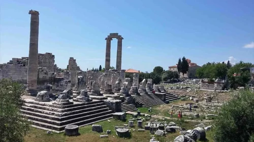 0256 Nerenin Alan Kodu?