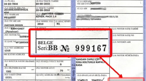 Ruhsat No Nerede Yazar (Doğru Cevap)