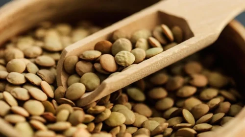 Yeşil Mercimek Nasıl Haşlanır? Tane Tane Dağılmadan Yeşil Mercimek Nasıl Pişer?