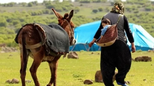 Türkiye'de Nüfusun %6.4'ü Köy ve Beldelerde Yaşıyor