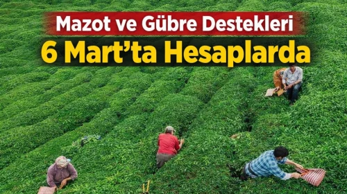 Mazot ve Gübre Destekleri 6 Mart’ta Hesaplarda
