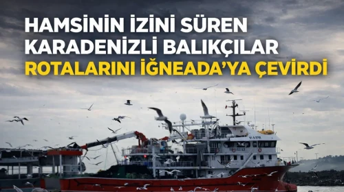 Balıkçılar, hamsi avlamak için rotalarını İğneada açıklarına çevirdi!