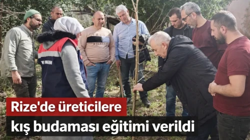 Rize'de Meyve Ağaçlarında Kış Budaması Eğitimi Başladı!