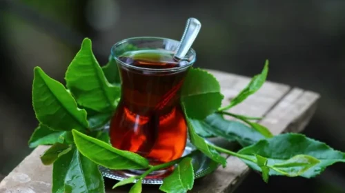 Rize’nin Neyi Meşhur? İşte Karadeniz’in Yeşil Hazinesi