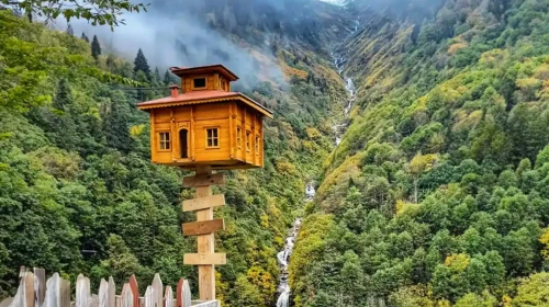 Rize’de gezilecek yerler (2026 tam rehber)