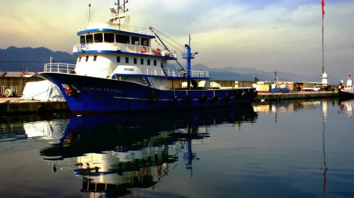 Rize’de Balıkçılık Sektörü Gücünü Koruyor: Karadeniz Ekonomisinin Can Damarı