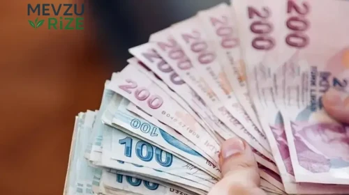 2026 Şubat ayı aile destek ödemesi ne zaman? Aile destek maaşı ödeme tarihleri