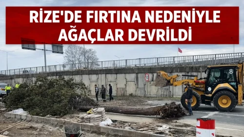 Rize’de Fırtına Nedeniyle Ağaçlar Devrildi