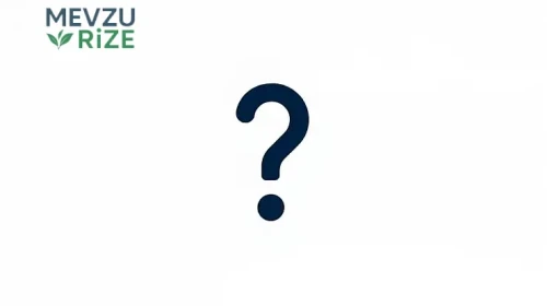 How to Scan a QR Code on Android (2026 Guide)