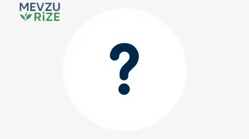 Kod adı: TR 705 CIA Ne Demek?