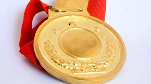 TurkMSIC'den Yılın En Başarılı Kadın Spor Takıkımı ödülü