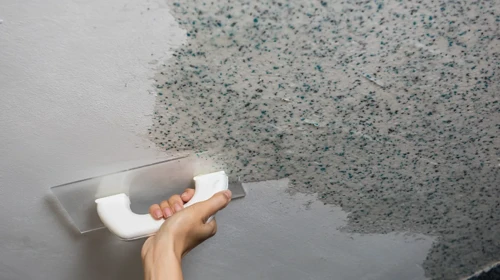 Rize’de Evler Neden Küf Olur? Bölgenin Nem Gerçeği