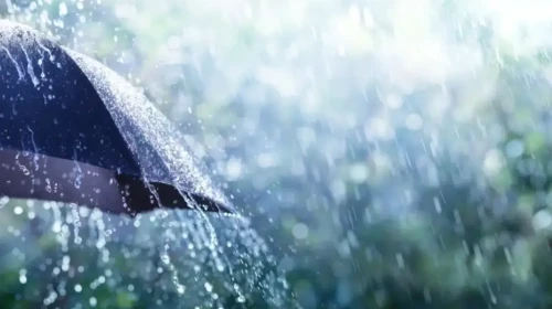 Rize'nin 28 Şubat 2026 Hava Tahmini: Yağışlar Sona Erecek mi? Sıcaklık Ne Kadar Yükselecek?