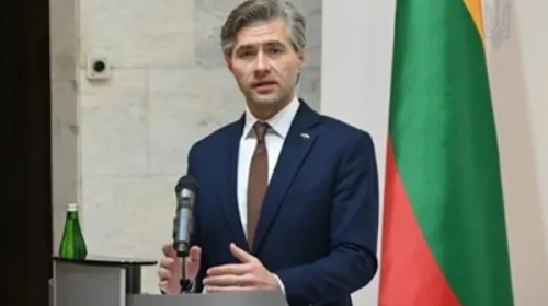 Budrys: Hiçbir kale yalnızca beyanlarla inşa edilmez