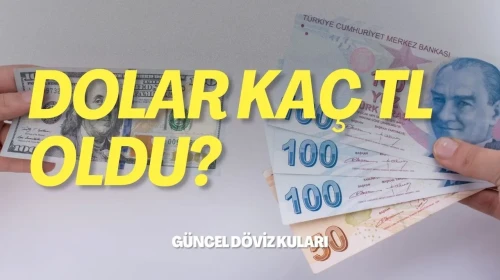 Döviz Piyasaları 2 Şubat'ta Dolar ve Euro ile Yeni Bir Güne Merhaba Dedi!