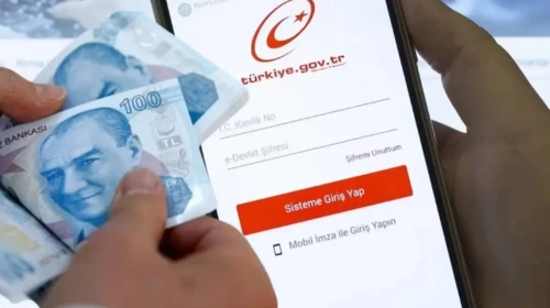 Dikkat! Emekliliğiniz İptal Edilmiş Olabilir: e-Devlet’teki Bu Kodlara Hemen Bakın