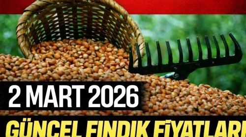 2 Mart 2026 güncel fındık fiyatları